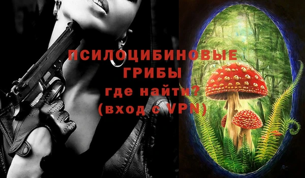 прущая мука Переславль-Залесский