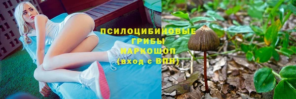 ешки Алзамай